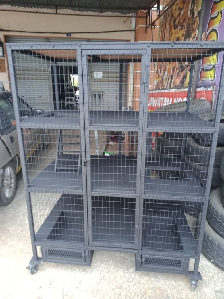 photo_2021-08-23_11-12-53