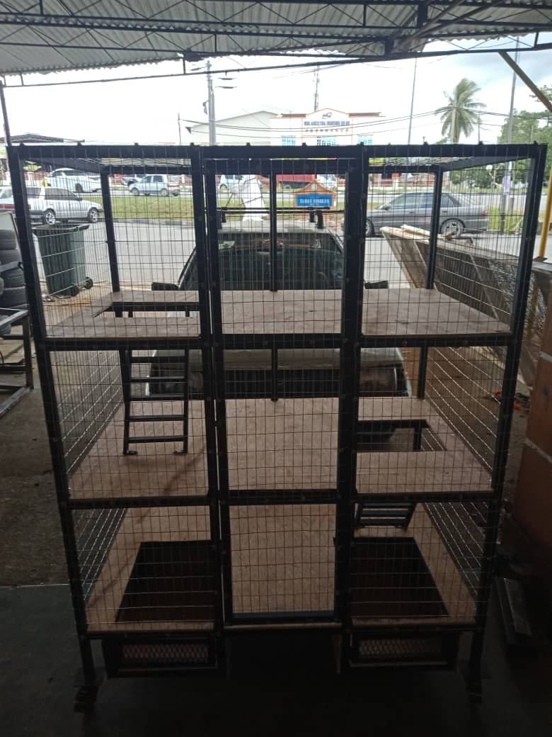 photo_2021-08-23_11-12-54