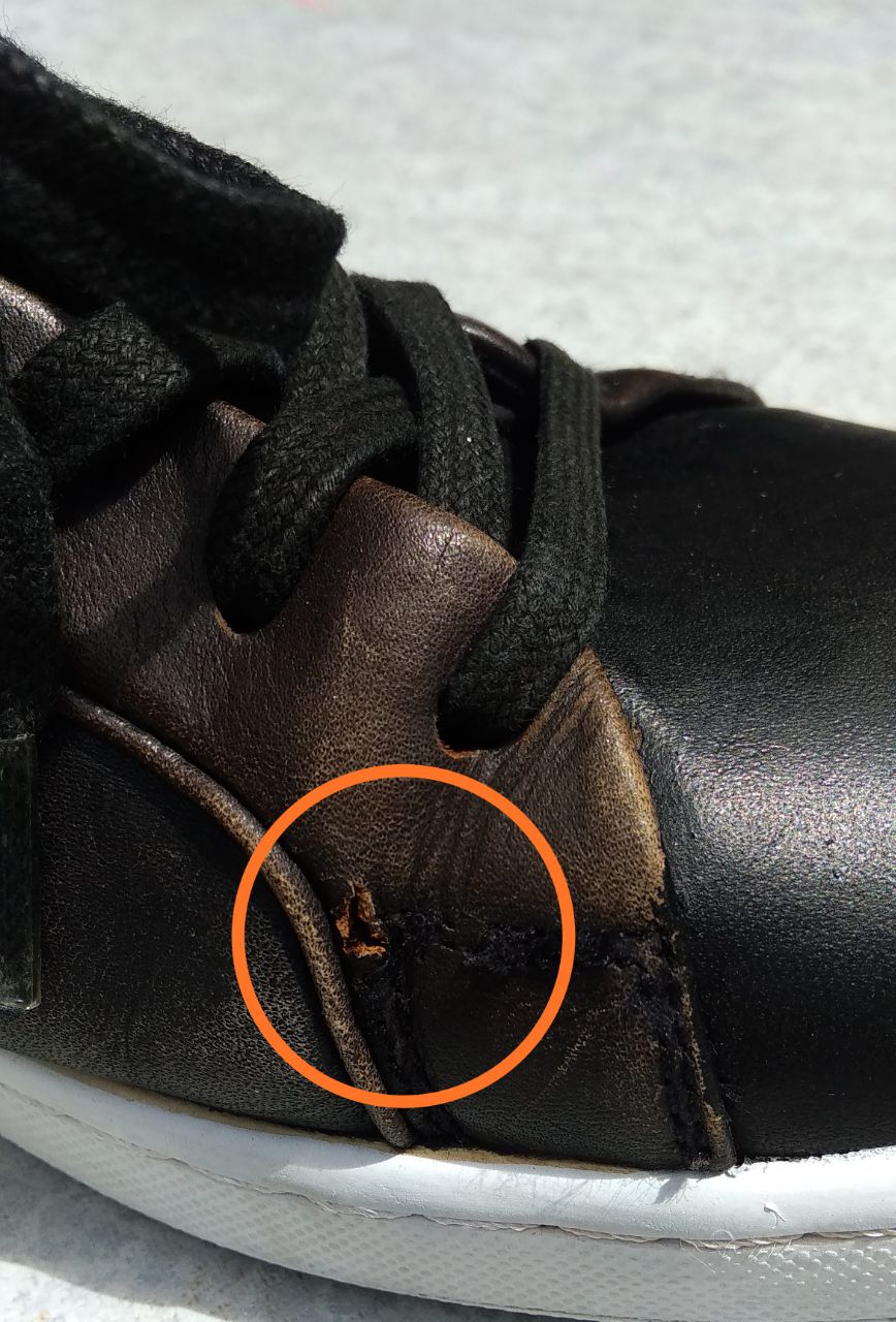 photo_2023-02-05_14-35-32 (2)