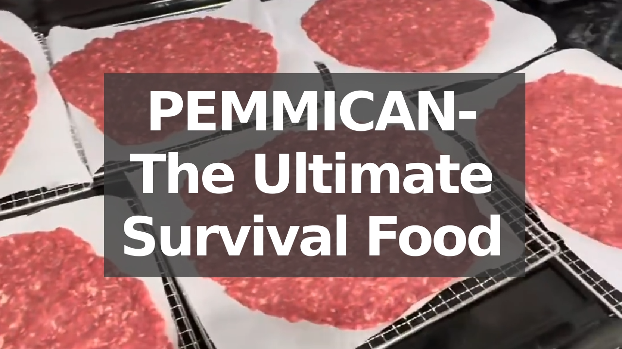 Tutorial Pemmican - Makanan kecemasan tahan lama