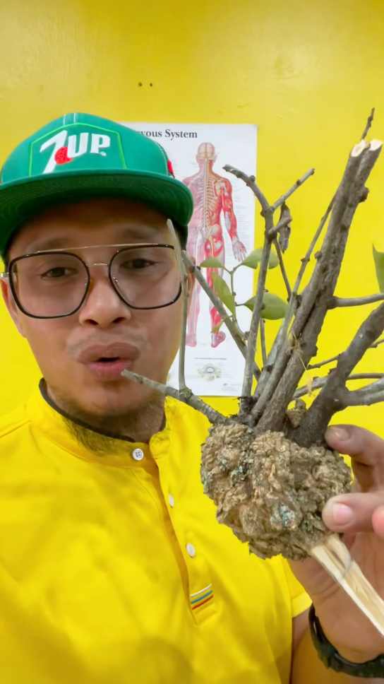 Penawar barah susu