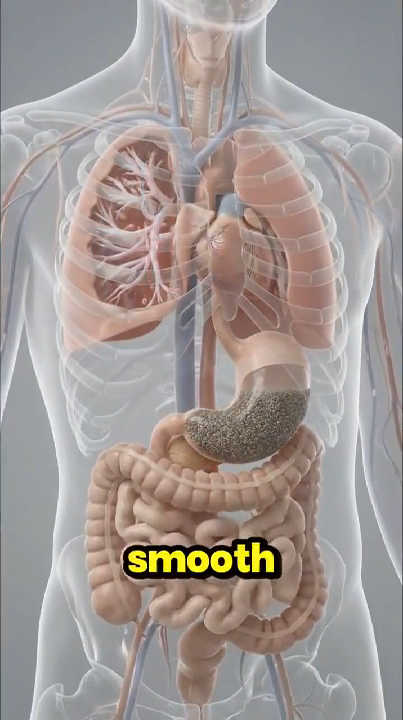 Khasiat Biji Selasih